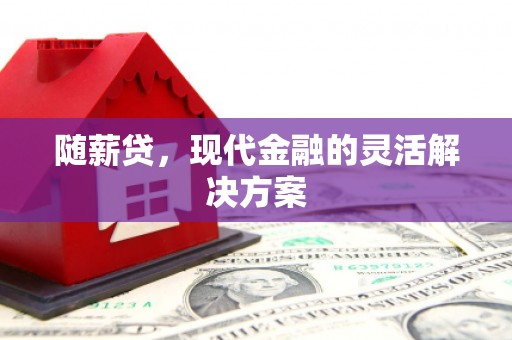 港南随薪贷，现代金融的灵活解决方案