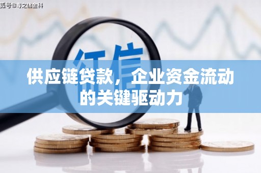 港南供应链贷款，企业资金流动的关键驱动力