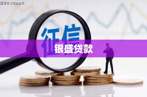 港南银盛贷款