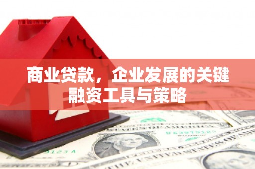 港南商业贷款，企业发展的关键融资工具与策略
