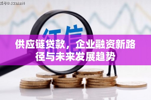 港南供应链贷款，企业融资新路径与未来发展趋势