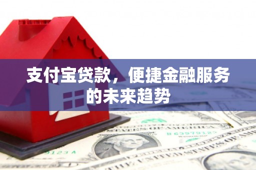 港南支付宝贷款，便捷金融服务的未来趋势