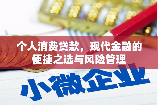 港南个人消费贷款，现代金融的便捷之选与风险管理