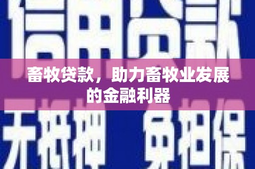 港南畜牧贷款，助力畜牧业发展的金融利器