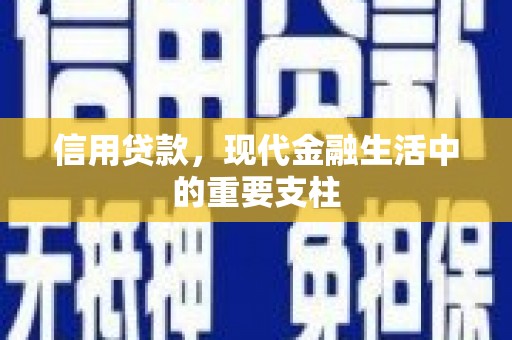 港南信用贷款，现代金融生活中的重要支柱