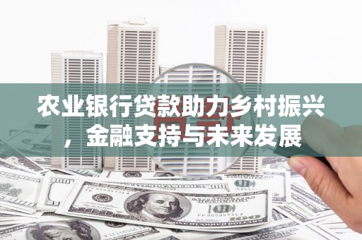 港南农业银行贷款助力乡村振兴，金融支持与未来发展