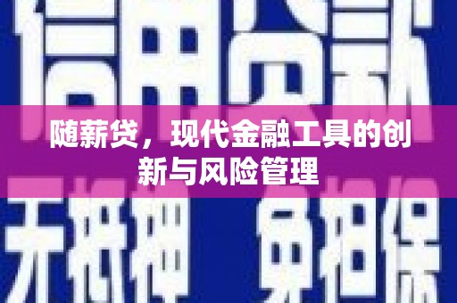 港南随薪贷，现代金融工具的创新与风险管理
