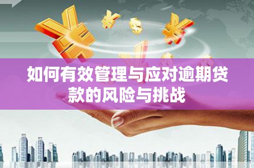 港南如何有效管理与应对逾期贷款的风险与挑战