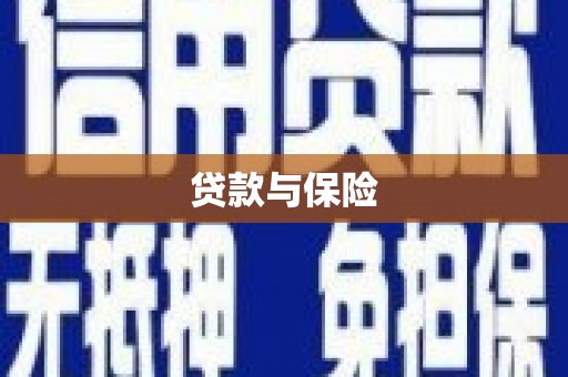 港南贷款与保险