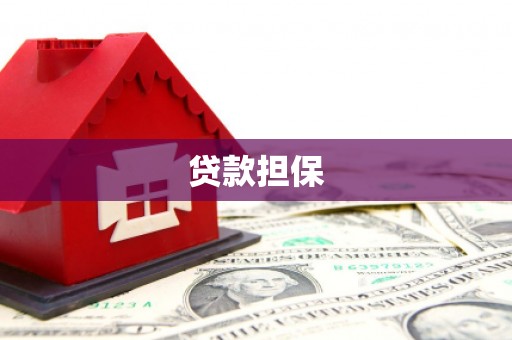 港南贷款担保