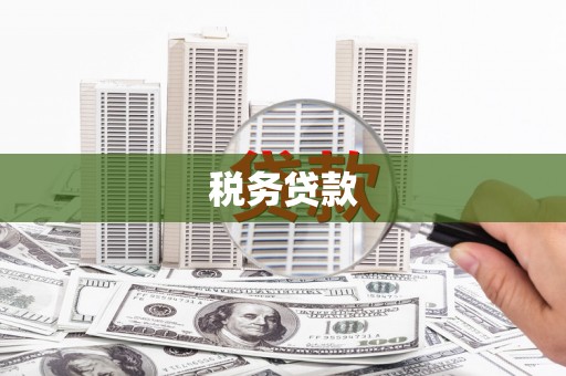 港南税务贷款