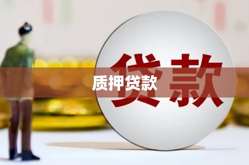 港南质押贷款