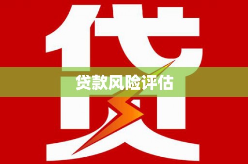 港南贷款风险评估