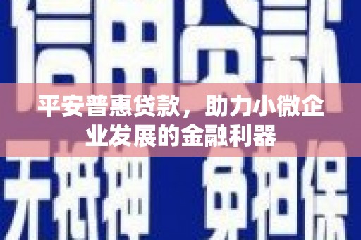 港南平安普惠贷款，助力小微企业发展的金融利器
