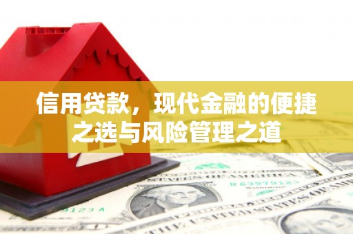 港南信用贷款，现代金融的便捷之选与风险管理之道