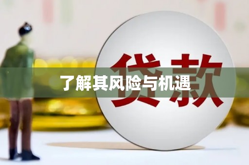港南了解其风险与机遇