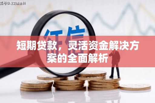 港南短期贷款，灵活资金解决方案的全面解析
