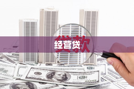 港南经营贷