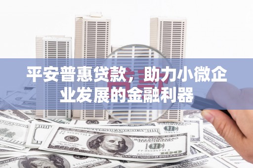 港南平安普惠贷款，助力小微企业发展的金融利器