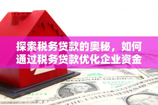 港南探索税务贷款的奥秘，如何通过税务贷款优化企业资金流