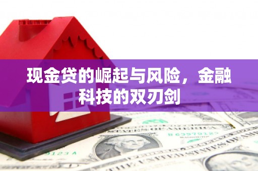 港南现金贷的崛起与风险，金融科技的双刃剑