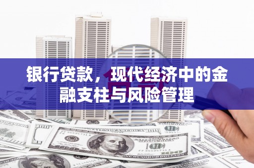 港南银行贷款，现代经济中的金融支柱与风险管理