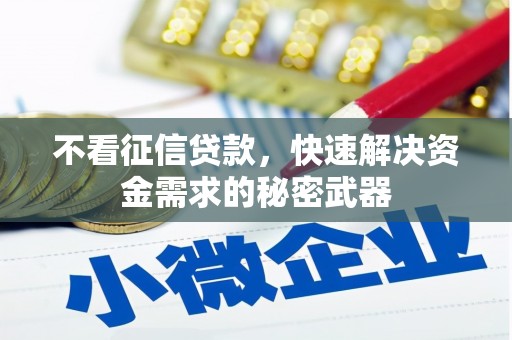 港南不看征信贷款，快速解决资金需求的秘密武器