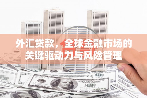 港南外汇贷款，全球金融市场的关键驱动力与风险管理