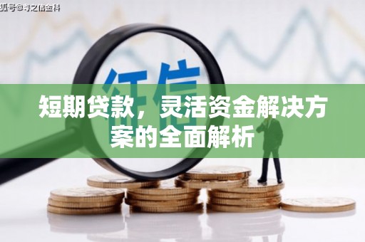港南短期贷款，灵活资金解决方案的全面解析