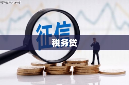 港南税务贷