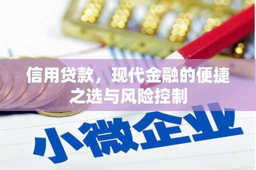 港南信用贷款，现代金融的便捷之选与风险控制