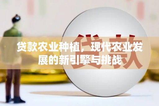 港南贷款农业种植，现代农业发展的新引擎与挑战