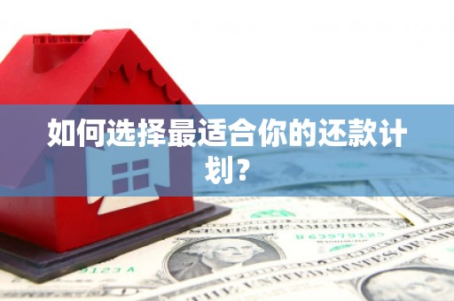 港南如何选择最适合你的还款计划？
