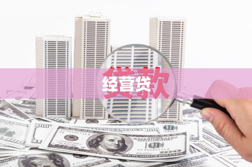 港南经营贷