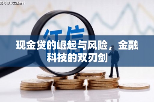 港南现金贷的崛起与风险，金融科技的双刃剑