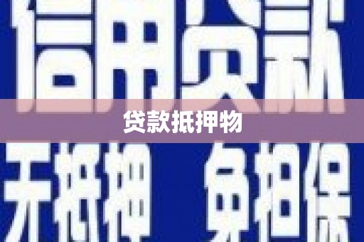 港南贷款抵押物