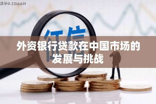 港南外资银行贷款在中国市场的发展与挑战