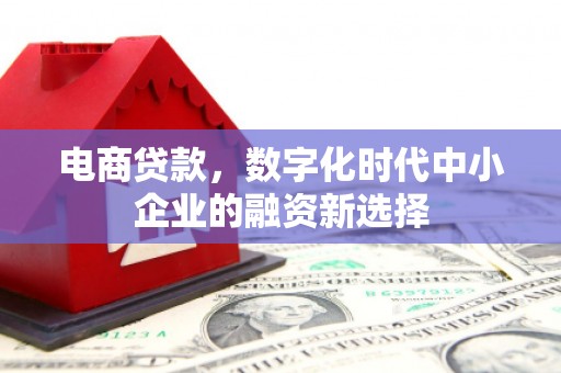 港南电商贷款，数字化时代中小企业的融资新选择