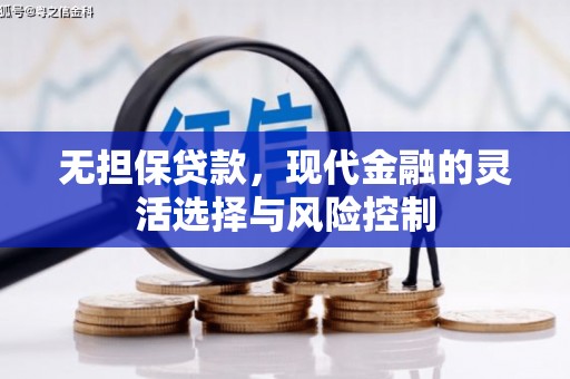 港南无担保贷款，现代金融的灵活选择与风险控制