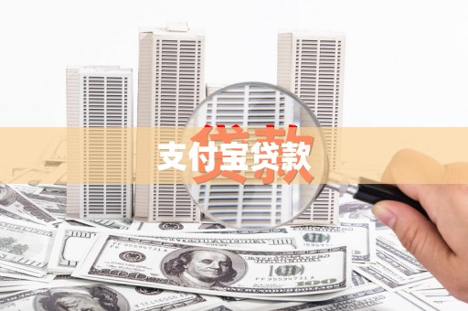 港南支付宝贷款