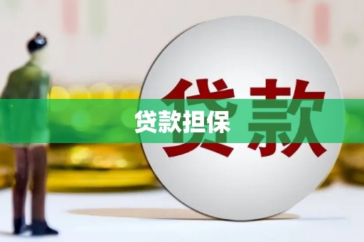 港南贷款担保