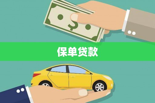 港南保单贷款