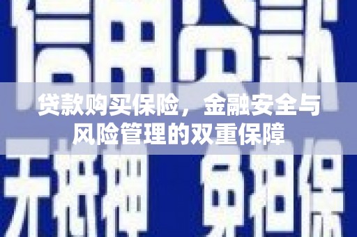港南贷款购买保险，金融安全与风险管理的双重保障