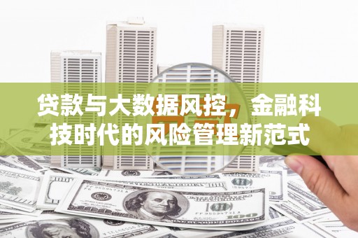 港南贷款与大数据风控，金融科技时代的风险管理新范式