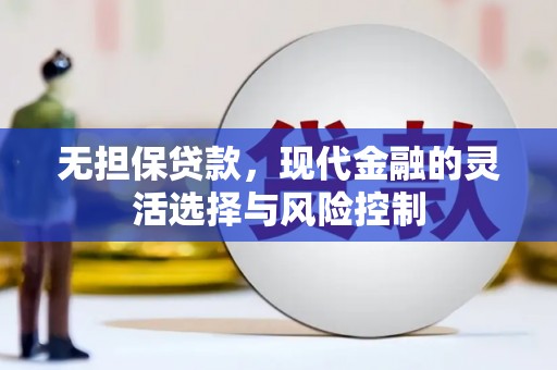 港南无担保贷款，现代金融的灵活选择与风险控制