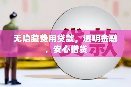 港南无隐藏费用贷款，透明金融，安心借贷