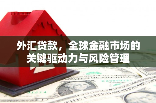 港南外汇贷款，全球金融市场的关键驱动力与风险管理