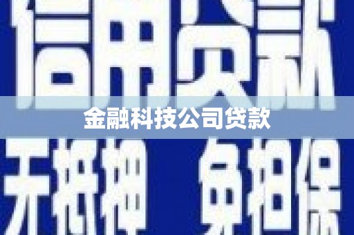 港南金融科技公司贷款