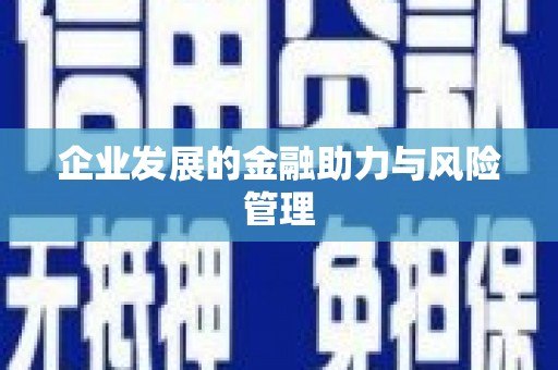 港南企业发展的金融助力与风险管理