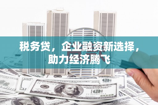 港南税务贷，企业融资新选择，助力经济腾飞